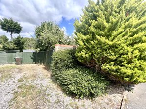 Driveway- click for photo gallery